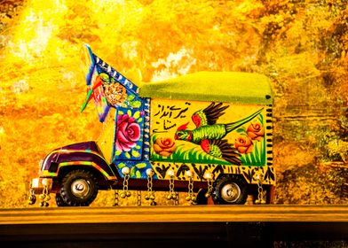 Pakistani Truck Art