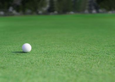 golf ball on a green 