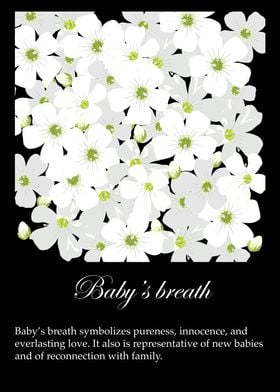 Baby Breath Poster