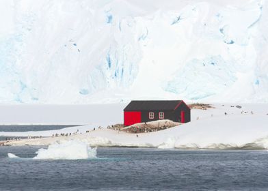 Port Lockroy Antarctica