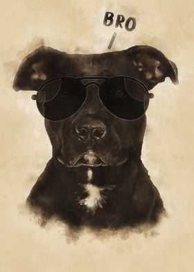 Dog Wall Art Pitbull