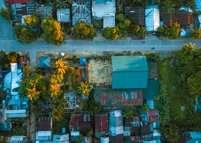 World From Above