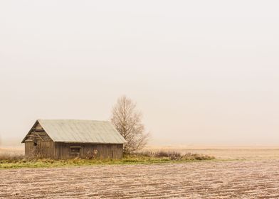 Mist On Frost