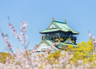 Osaka castle