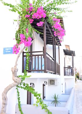 Pretty Street Naxos Town