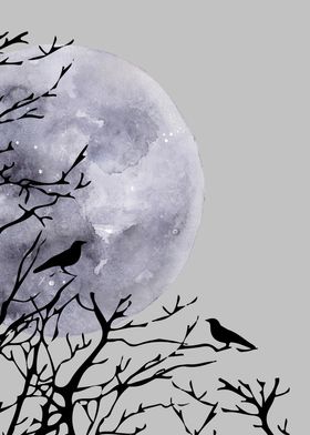 Moon and birds