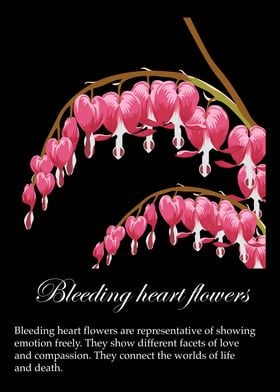 Bleeding Heart Flowers