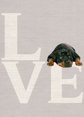 Rottweiler art funny