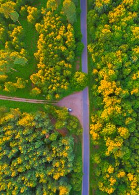 World From Above