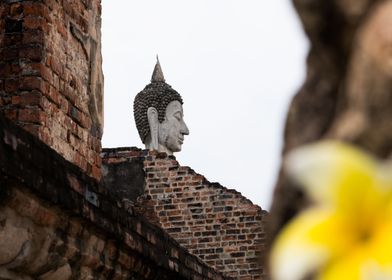 The head of the Buddha