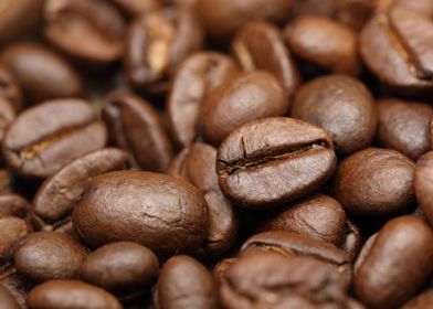 coffee beans