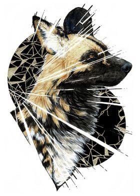 Shattered African Wild dog