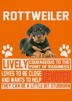 Rottweiler Posters