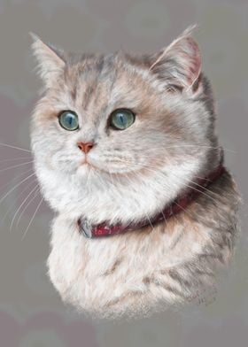 Cats portrait