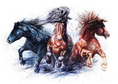 Horses watercolor
