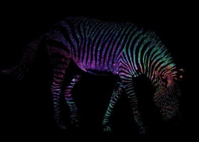 Cosmic Zebra