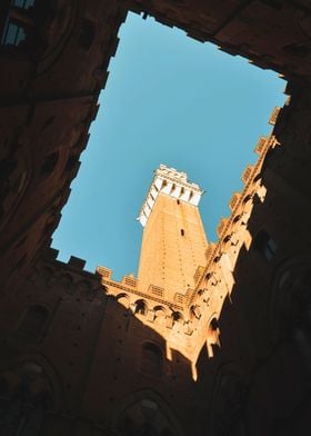 Contrasts in Siena