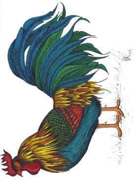 Rooster