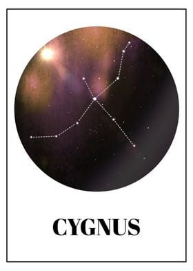 Cygnus