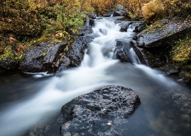 Autumn stream