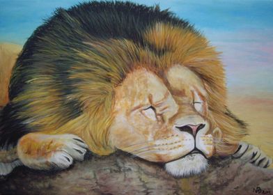 Sleeping Lion