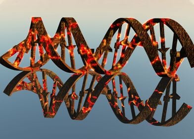 Damaged DNA