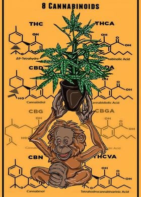 8 cannabinoids