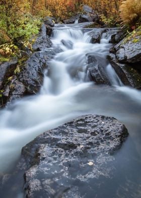 Autumn stream