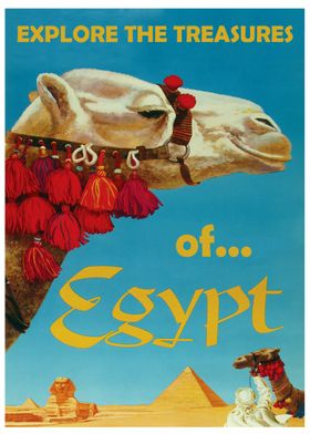 Camel in Egypt