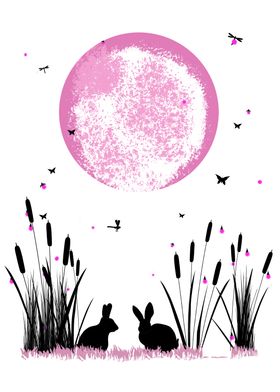 Rabbits and Moon
