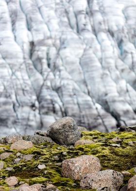 In front of the glacier