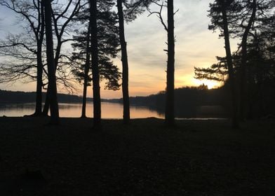 Forest Lake at sunset