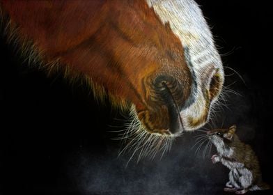 Horse and Mouse