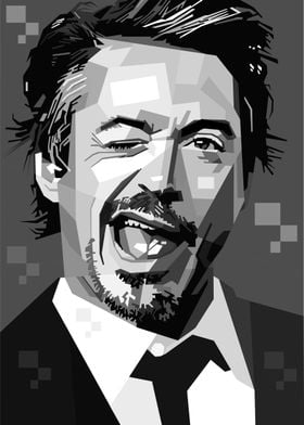 Robert Downey JR