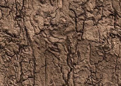 Wood texture background