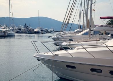 Luxury yachts in marina