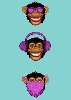 See no Evil Monkeys 