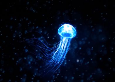 Glowing Jellyfish 