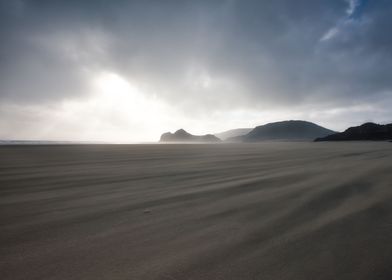 Wind Swept Bethels Beach