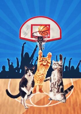 Basketball Cats
