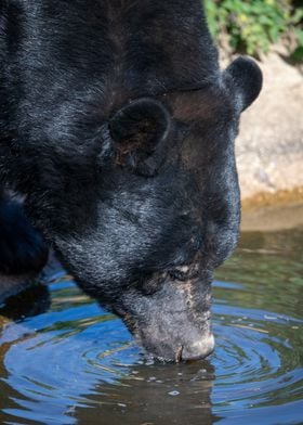 Thirsty Work