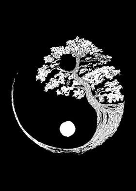 Yin Yang Bonsai Tree Japan