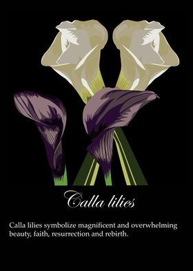 Calla lilies poster