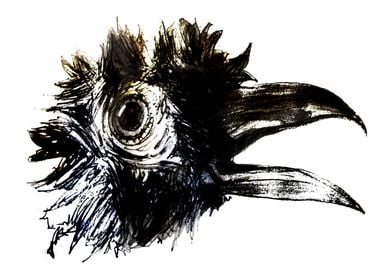 crows head