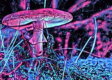 Trippyshroom