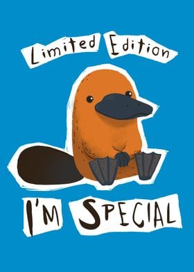 Special Edition Platypus