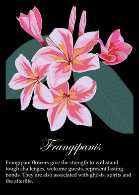 Frangipanis poster