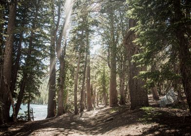 McLeod Lake Trail