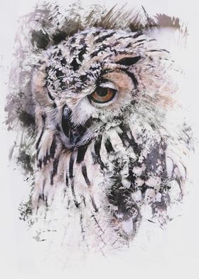Light Owl