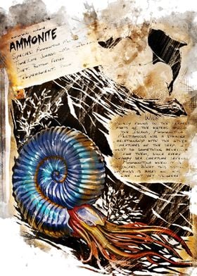 ammonite ark